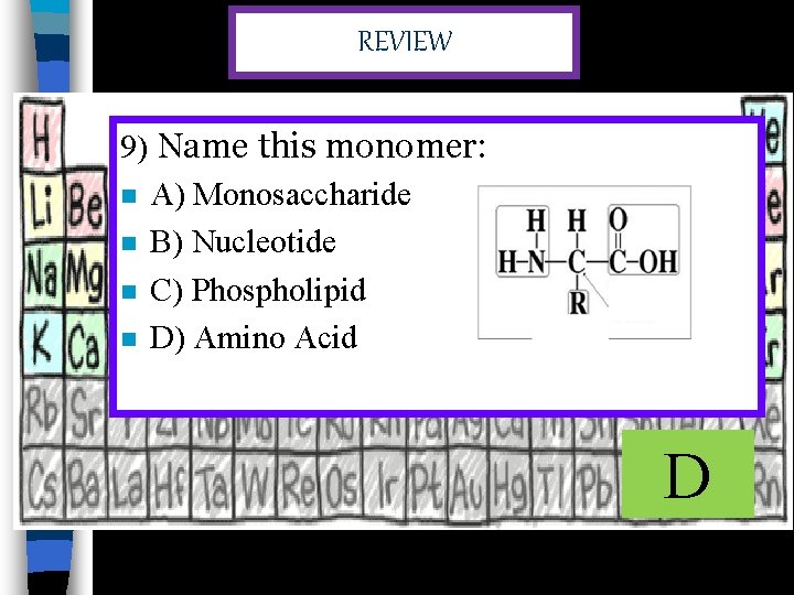 REVIEW 9) Name this monomer: n A) Monosaccharide n B) Nucleotide n C) Phospholipid