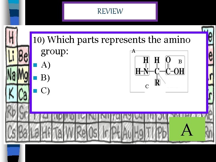 REVIEW 10) Which parts represents the amino group: n n n A) B) C)