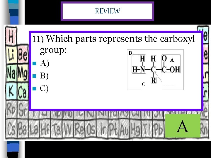 REVIEW 11) Which parts represents the carboxyl group: n n n A) B) C)