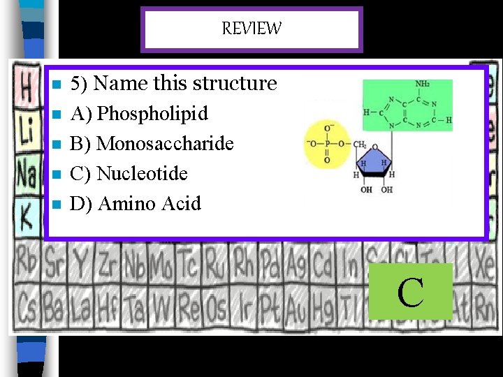 REVIEW n n n 5) Name this structure A) Phospholipid B) Monosaccharide C) Nucleotide