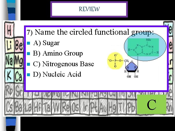 REVIEW 7) Name the circled functional group: n A) Sugar n B) Amino Group