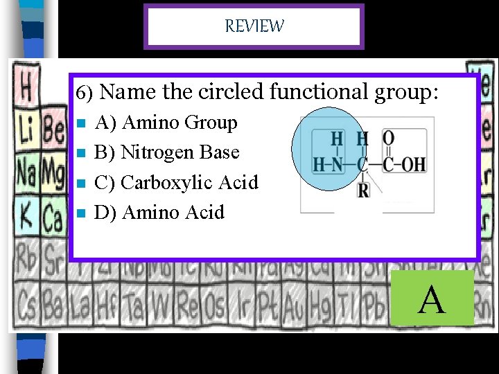 REVIEW 6) Name the circled functional group: n A) Amino Group n B) Nitrogen