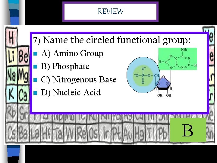 REVIEW 7) Name the circled functional group: n A) Amino Group n B) Phosphate