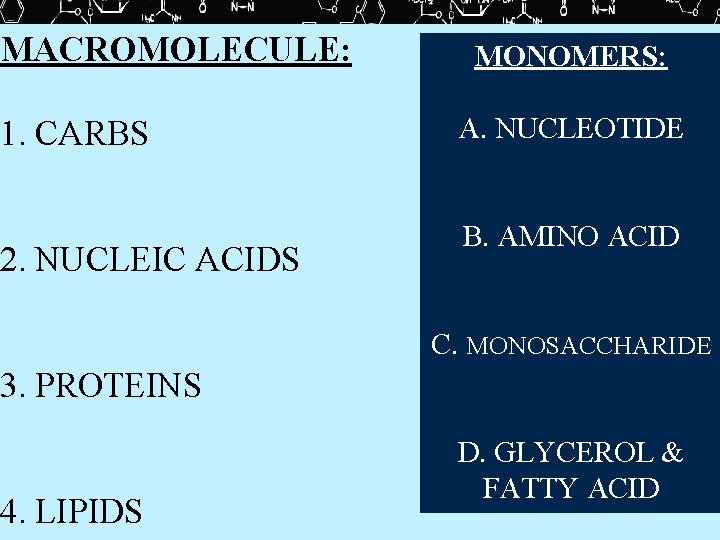 MACROMOLECULE: 1. CARBS 2. NUCLEIC ACIDS MONOMERS: A. NUCLEOTIDE B. AMINO ACID C. MONOSACCHARIDE