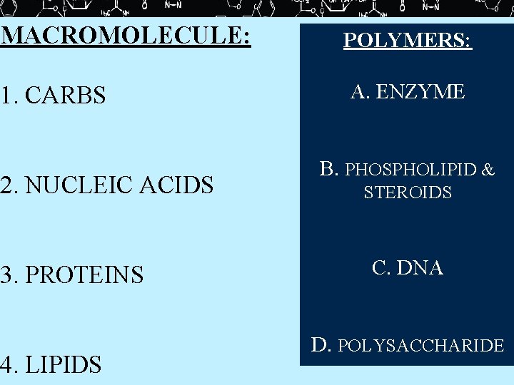 MACROMOLECULE: 1. CARBS 2. NUCLEIC ACIDS 3. PROTEINS 4. LIPIDS POLYMERS: A. ENZYME B.