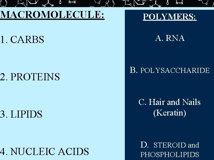 MACROMOLECULE: 1. CARBS 2. PROTEINS 3. LIPIDS 4. NUCLEIC ACIDS POLYMERS: A. RNA B.