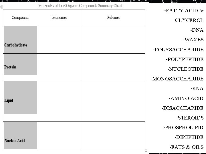 -FATTY ACID & GLYCEROL -DNA -WAXES -POLYSACCHARIDE -POLYPEPTIDE -NUCLEOTIDE -MONOSACCHARIDE -RNA -AMINO ACID -DISACCHARIDE