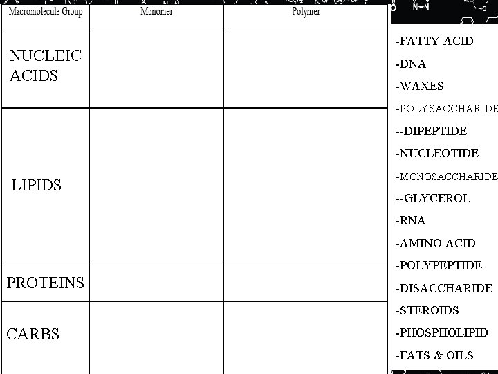 NUCLEIC ACIDS -FATTY ACID -DNA -WAXES -POLYSACCHARIDE --DIPEPTIDE -NUCLEOTIDE LIPIDS -MONOSACCHARIDE --GLYCEROL -RNA -AMINO