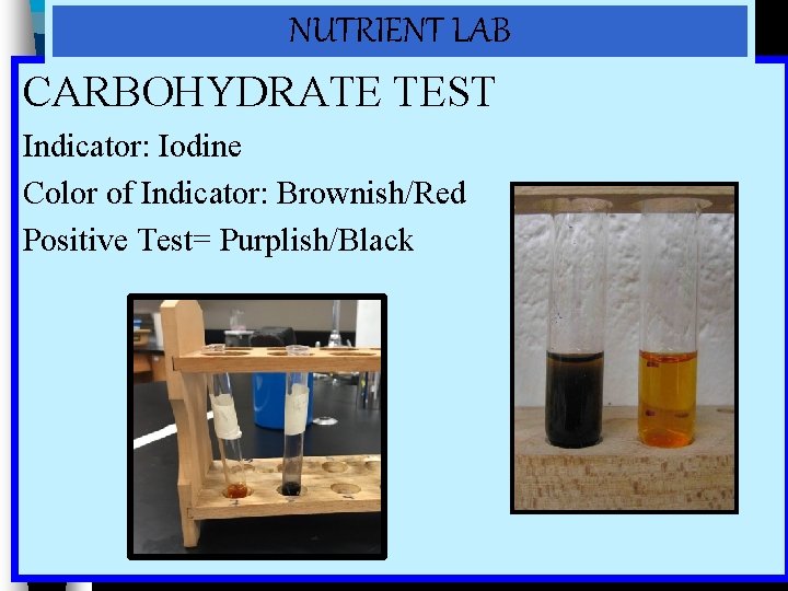 NUTRIENT LAB CARBOHYDRATE TEST Indicator: Iodine Color of Indicator: Brownish/Red Positive Test= Purplish/Black 