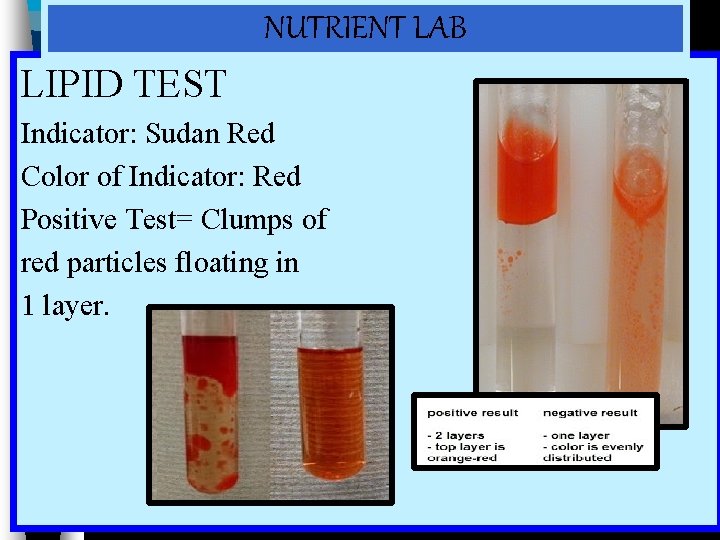 NUTRIENT LAB LIPID TEST Indicator: Sudan Red Color of Indicator: Red Positive Test= Clumps