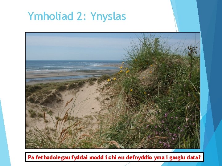 Ymholiad 2: Ynyslas Pa fethodolegau fyddai modd i chi eu defnyddio yma i gasglu