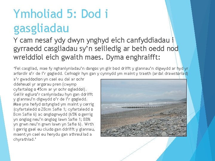 Ymholiad 5: Dod i gasgliadau Y cam nesaf ydy dwyn ynghyd eich canfyddiadau i
