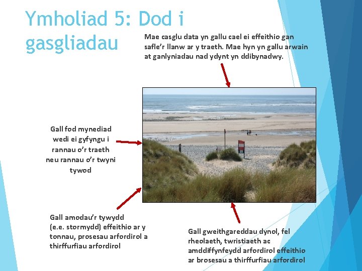 Ymholiad 5: Dod i gasgliadau Mae casglu data yn gallu cael ei effeithio gan