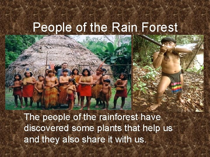 People of the Rain Forest The people of the rainforest have discovered some plants