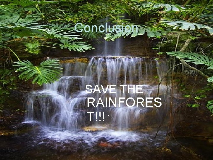 Conclusion SAVE THE RAINFORES T!!! ` 