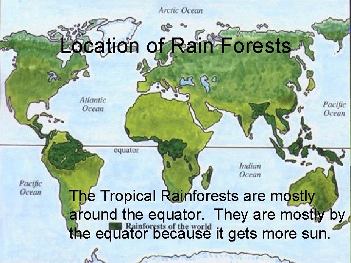 Location of Rain Forests The Tropical Rainforests are mostly around the equator. They are