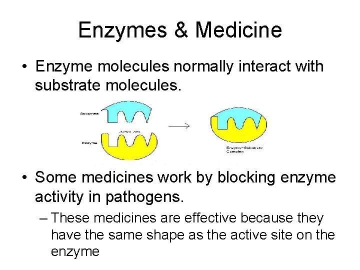 Enzymes & Medicine • Enzyme molecules normally interact with substrate molecules. • Some medicines