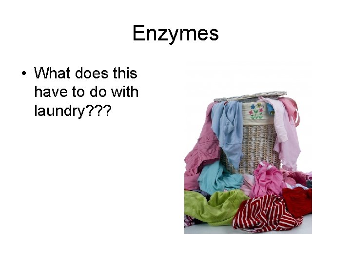 Enzymes • What does this have to do with laundry? ? ? 