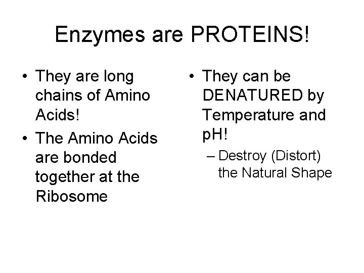 Enzymes are PROTEINS! • They are long chains of Amino Acids! • The Amino