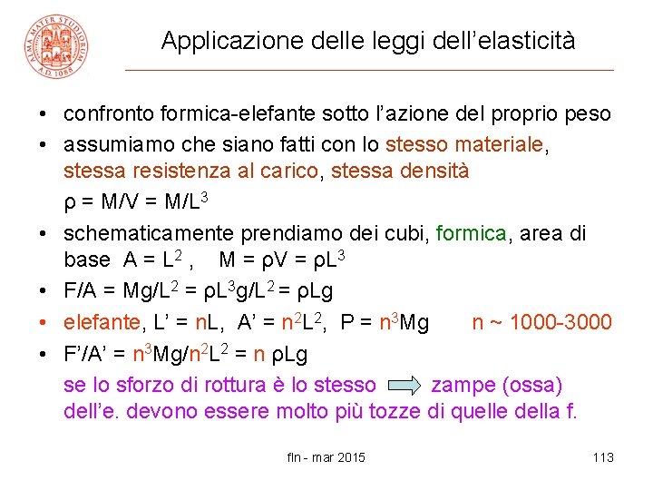 Applicazione delle leggi dell’elasticità • confronto formica-elefante sotto l’azione del proprio peso • assumiamo