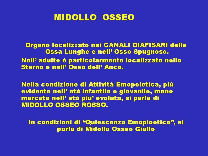 MIDOLLO OSSEO Organo localizzato nei CANALI DIAFISARI delle Ossa Lunghe e nell’ Osso Spugnoso.