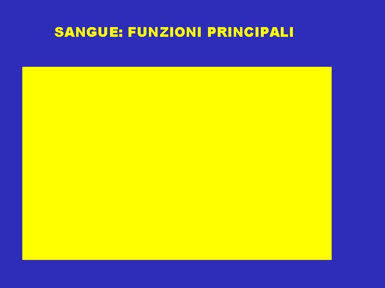 SANGUE: FUNZIONI PRINCIPALI 