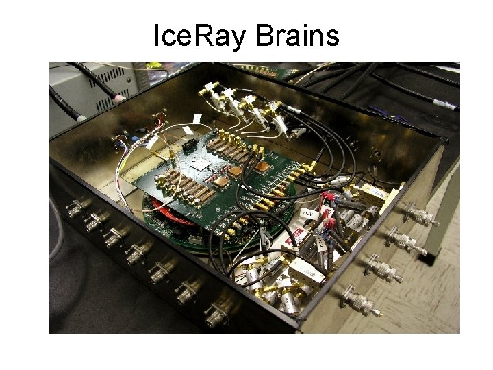 Ice. Ray Brains 