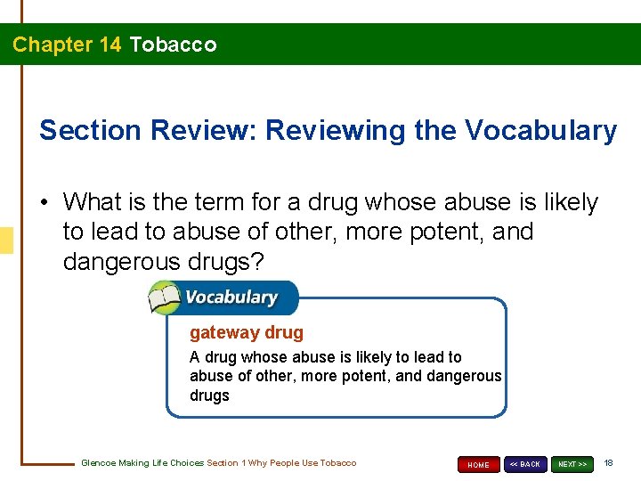 Chapter 14 Tobacco Section Review: Reviewing the Vocabulary • What is the term for