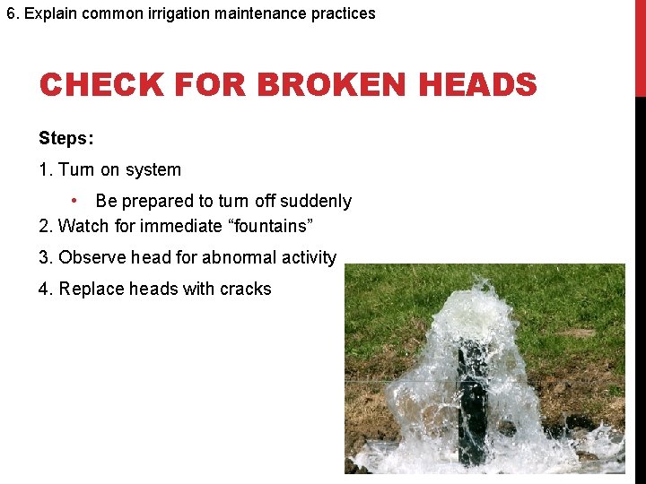 6. Explain common irrigation maintenance practices CHECK FOR BROKEN HEADS Steps: 1. Turn on