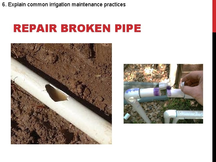 6. Explain common irrigation maintenance practices REPAIR BROKEN PIPE 