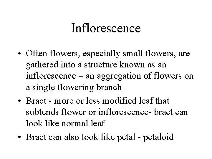 Inflorescence • Often flowers, especially small flowers, are gathered into a structure known as