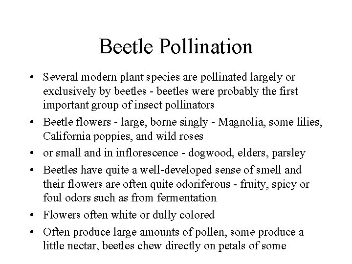 Beetle Pollination • Several modern plant species are pollinated largely or exclusively by beetles