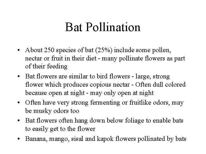 Bat Pollination • About 250 species of bat (25%) include some pollen, nectar or