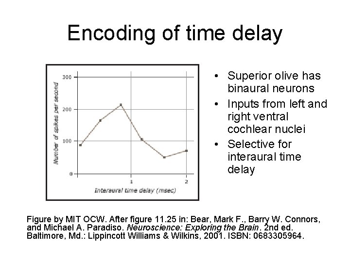 Encoding of time delay • Superior olive has binaural neurons • Inputs from left