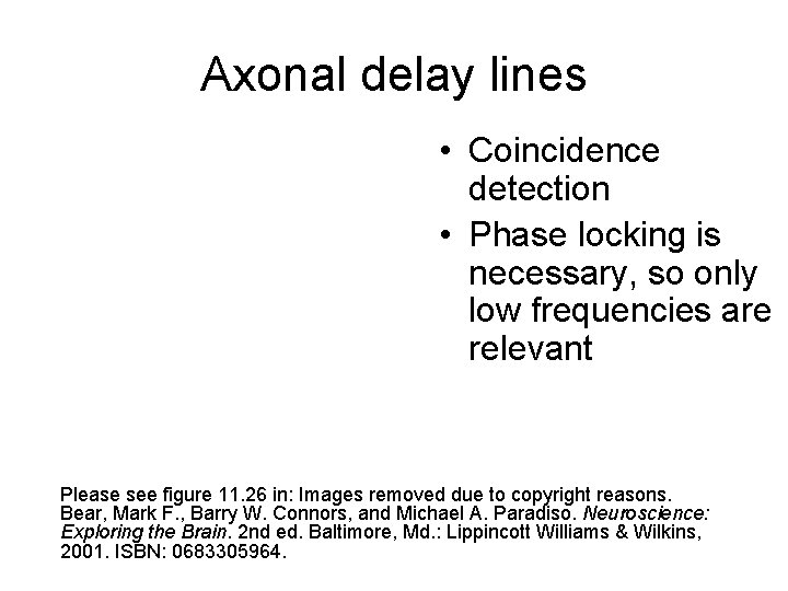 Axonal delay lines • Coincidence detection • Phase locking is necessary, so only low