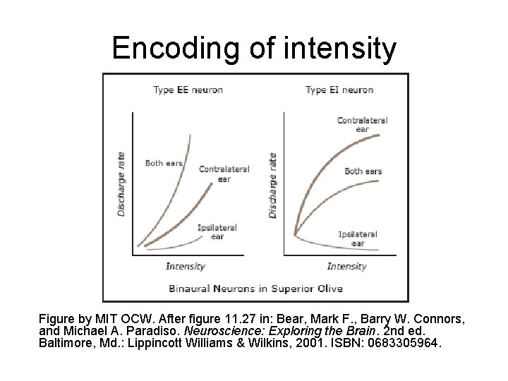 Encoding of intensity Figure by MIT OCW. After figure 11. 27 in: Bear, Mark