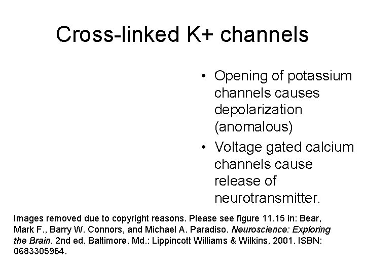 Cross-linked K+ channels • Opening of potassium channels causes depolarization (anomalous) • Voltage gated