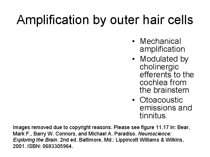 Amplification by outer hair cells • Mechanical amplification • Modulated by cholinergic efferents to