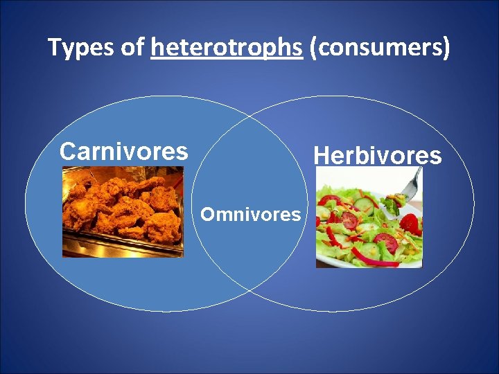 Types of heterotrophs (consumers) Carnivores Herbivores Omnivores 