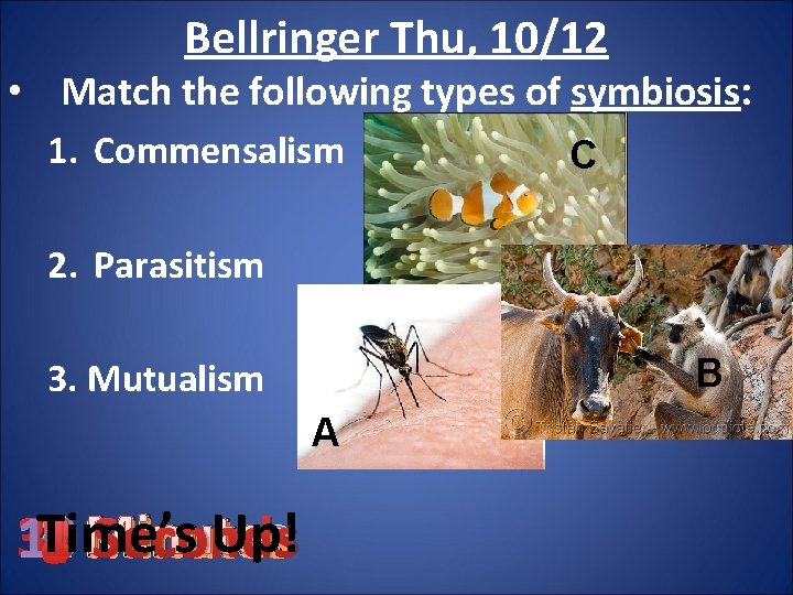 Bellringer Thu, 10/12 • Match the following types of symbiosis: 1. Commensalism C 2.