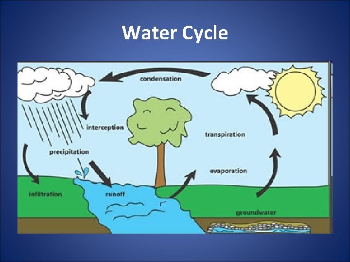 Water Cycle 