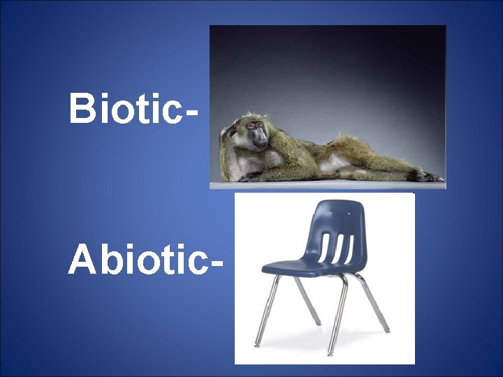 Biotic- living Abiotic- non-living 