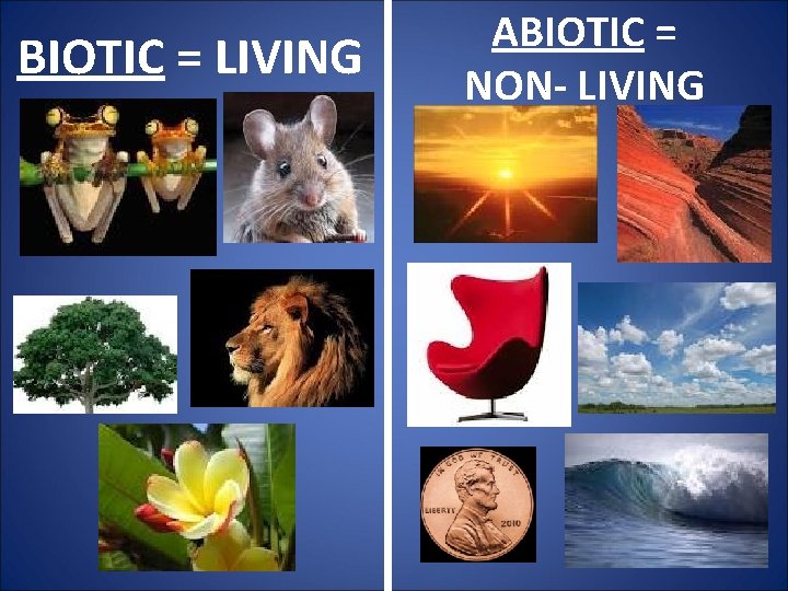 BIOTIC = LIVING ABIOTIC = NON- LIVING 