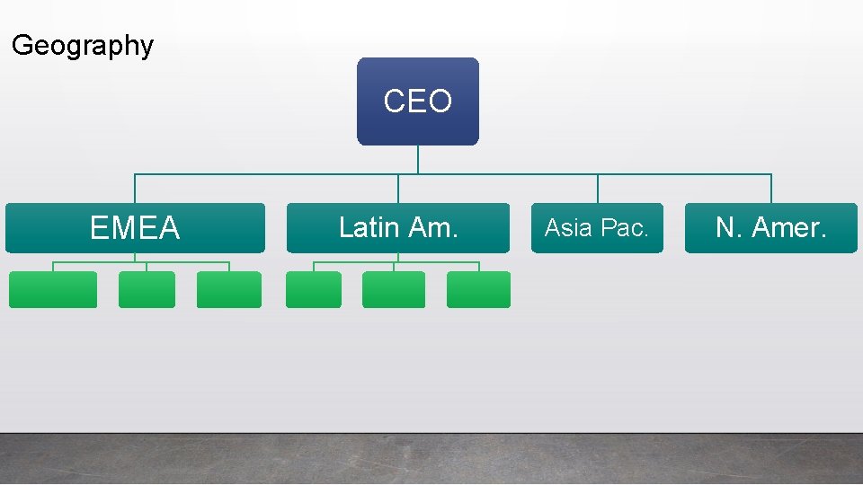 Geography CEO EMEA Latin Am. Asia Pac. N. Amer. 