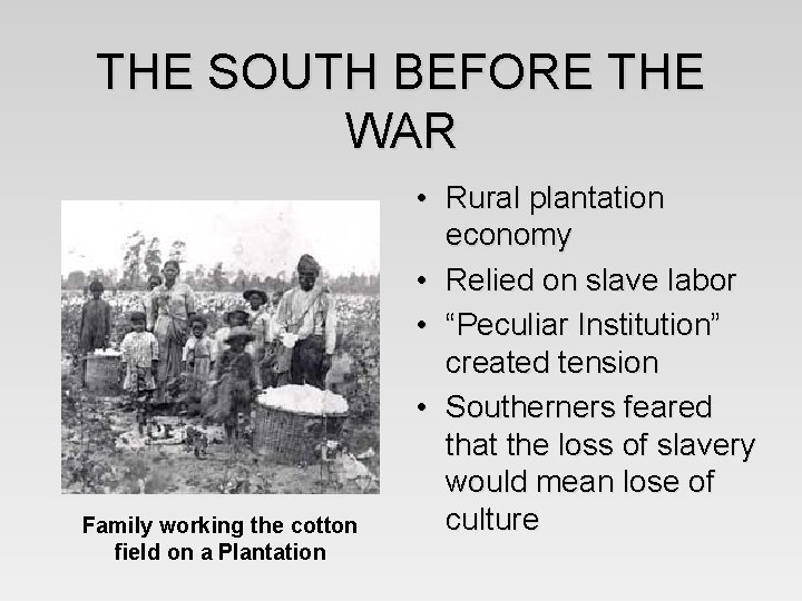 THE SOUTH BEFORE THE WAR Family working the cotton field on a Plantation •