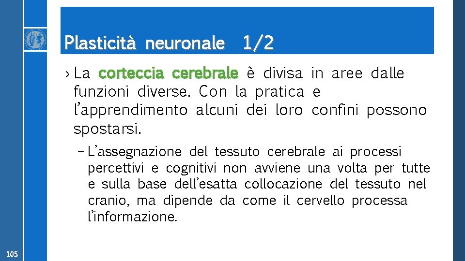 Plasticità neuronale 1/2 › La corteccia cerebrale è divisa in aree dalle funzioni diverse.