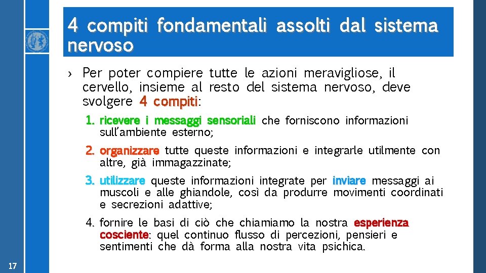 4 compiti fondamentali assolti dal sistema nervoso › Per poter compiere tutte le azioni