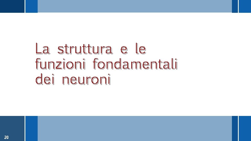 La struttura e le funzioni fondamentali dei neuroni 20 