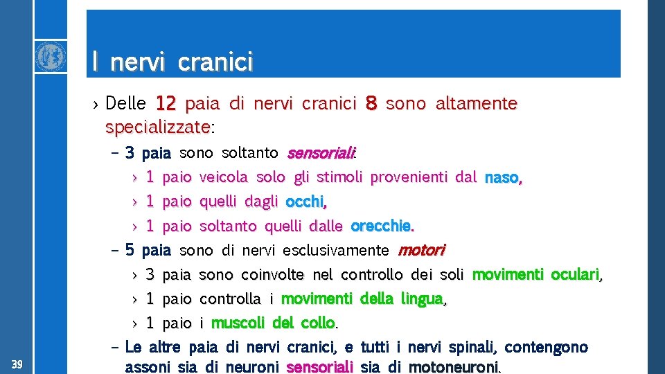 I nervi cranici › Delle 12 paia di nervi cranici 8 sono altamente specializzate: