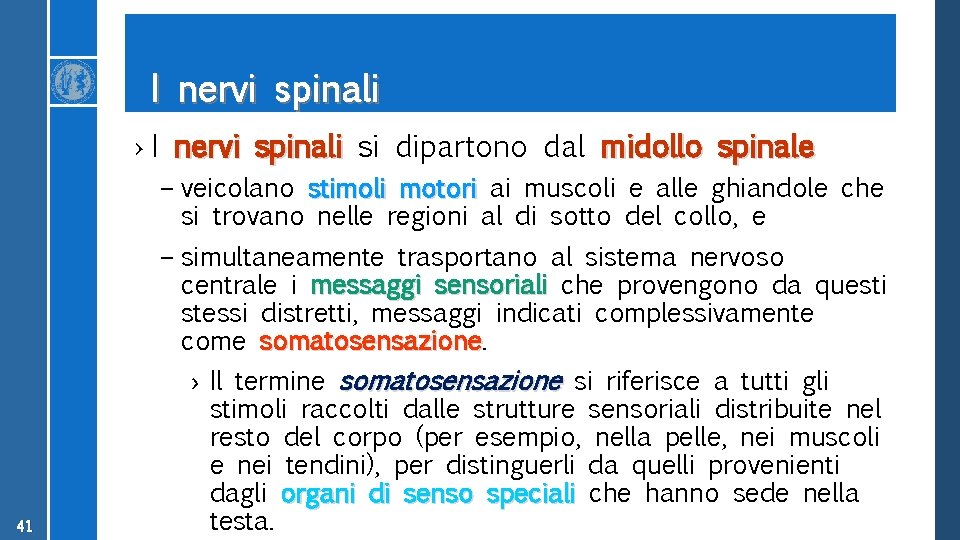 I nervi spinali › I nervi spinali si dipartono dal midollo spinale – veicolano